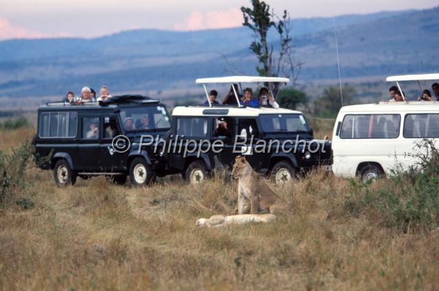 kenya 33.JPG - Safari en mini bus et 4x4Réserve de Masai MaraMasai Mara National ReserveKenya